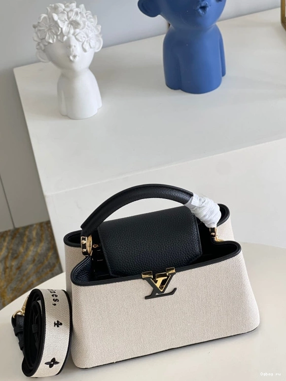 BB VUITTON CAPUCINES LOUIS 0817